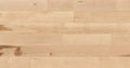 Hardwoood Natural 3/4″ x 3-1/4″ Maple Solid Hardwood The Hudson Collection