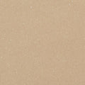 Vinyl Homogeneous Sheet Neutral Toned 1HG2M016 Mixed and Variegated
