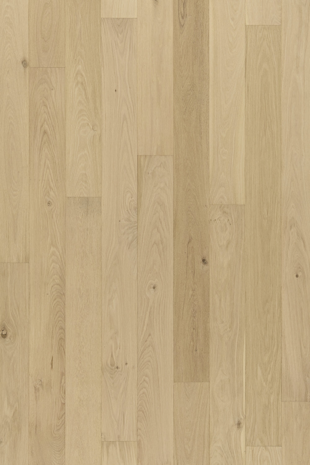 Hardwood NOBLE EKPB64L703W Kingston 7/16" x 6.5"