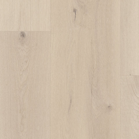 Vinyl Noble Spirit WP033 EVERGEN 7 X 60