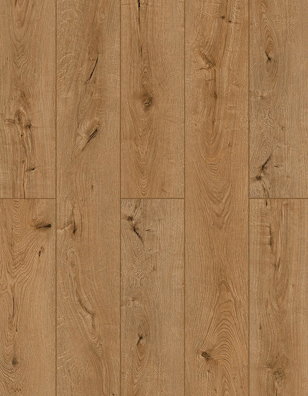 Lions LI-TS203 Oak Exotica LONE STAR SPIRIT XL