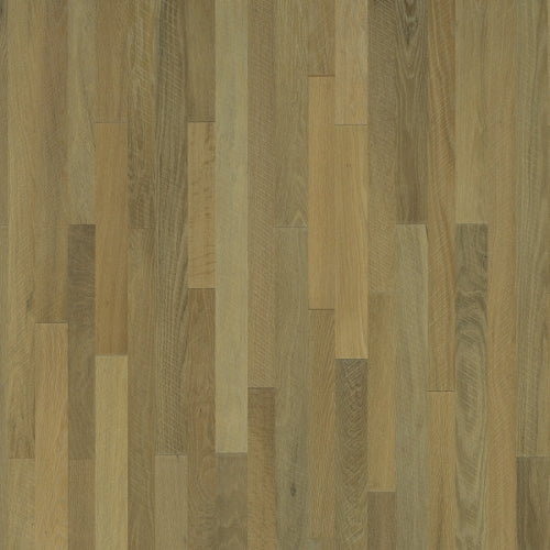 Hallmark Organic (Solid) - Bay Leaf by Horizon Forest