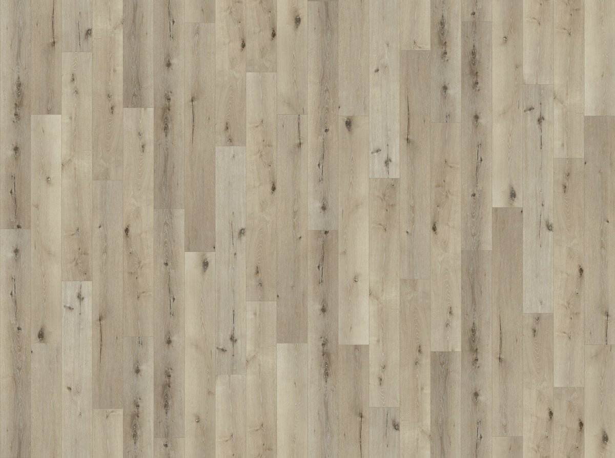 Vinyl Oyster Bay 25051 AXIS PrimePLUS