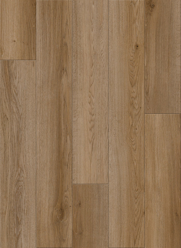 AHF Contract Dry Back LVT PREDICTABLE BROWN 1LV07003 Nod to Nature REWILDING