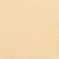 Vinyl Homogeneous Sheet Pacific Bluff 1HG2M015 Mixed and Variegated