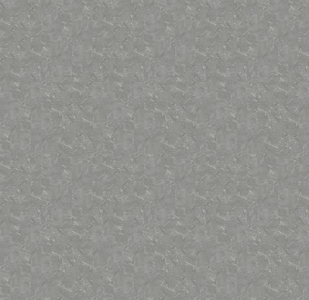 Vinyl Palace Gray D-SC-PG Prime Specimens Collection