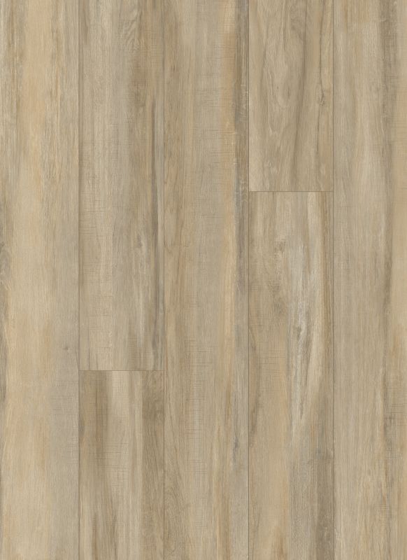 Vinyl Parchment Familiar Front. II P
