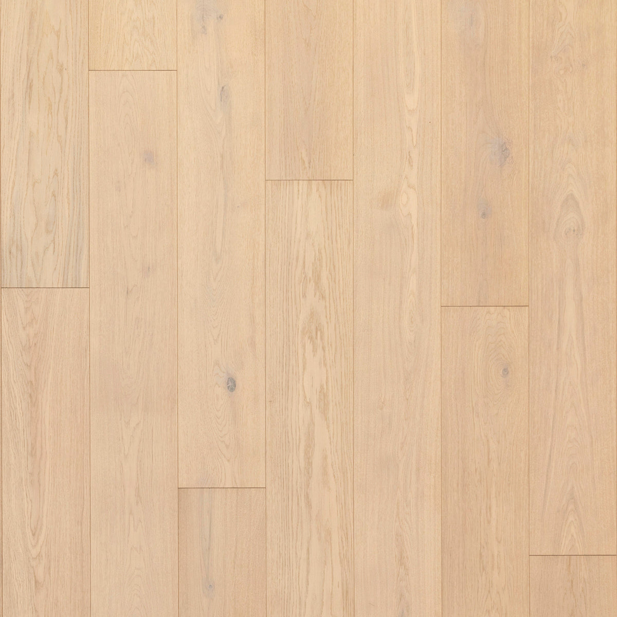 Mohawk Pelican Oak SARTO ISLE — alternate view