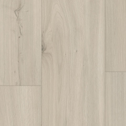 Vinyl Pure Delicate  WP041 EVERGEN 7 X 60