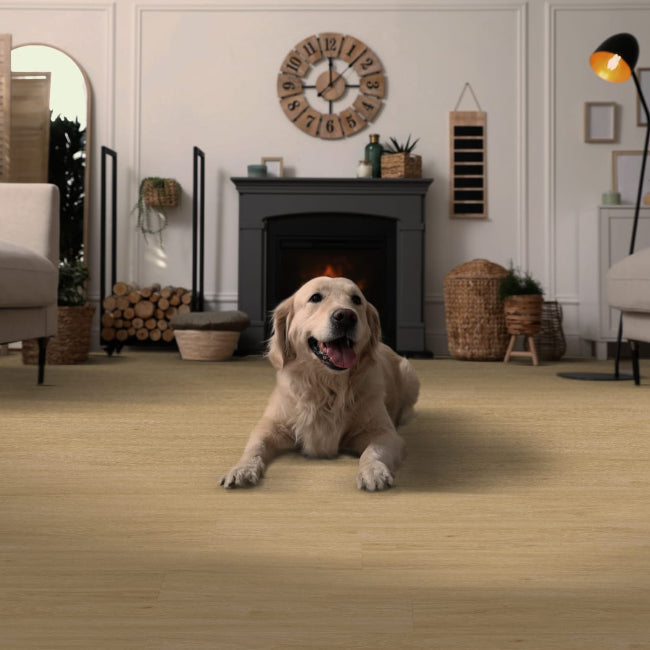 Pacific Oak Collection - Safari Oak Floor Floor by Republic Floor