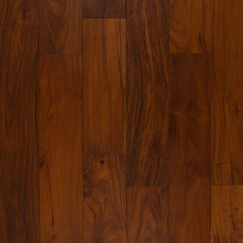 Renaissance - Durer by Green World Industries