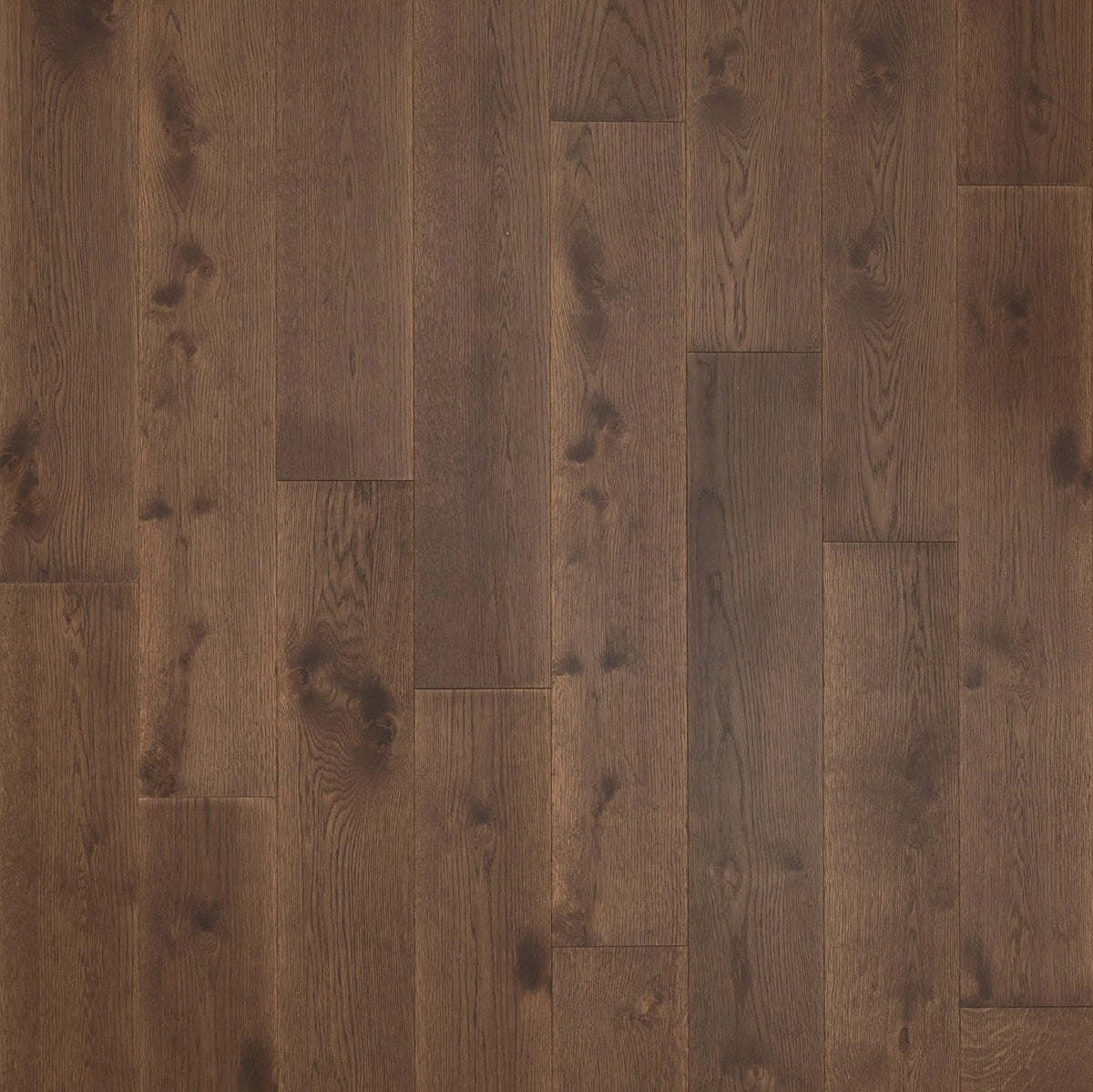 Mohawk Romano Oak GREGOR OAKS — alternate view