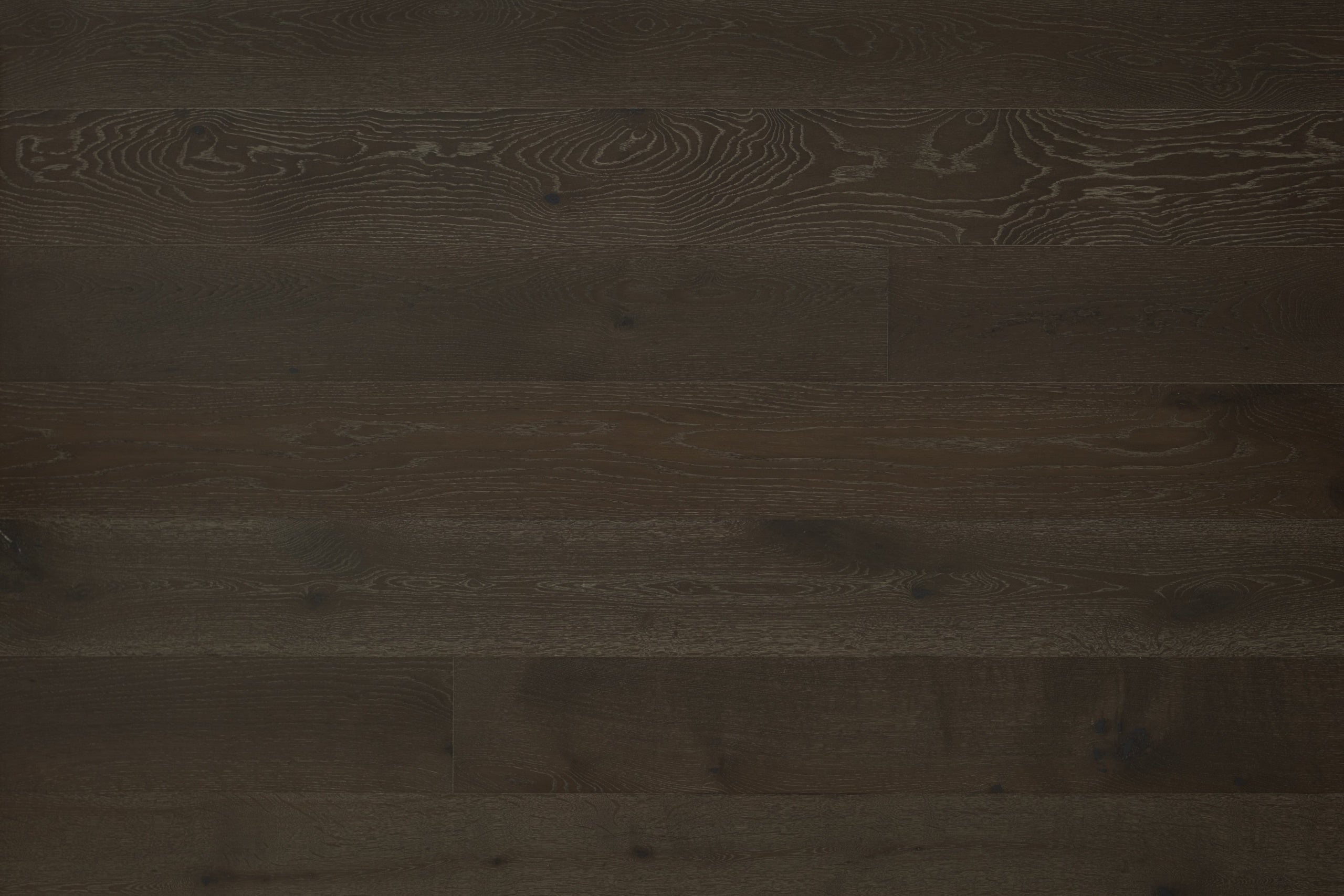 Hardwood Royal Darjeeling Tea Collection