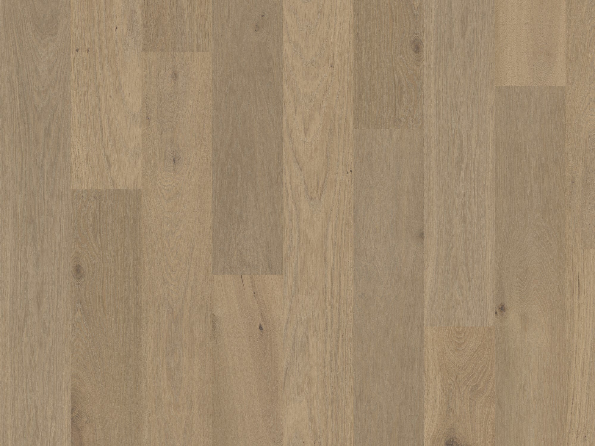 Hardwood SAVANNA TERRA COLLECTION