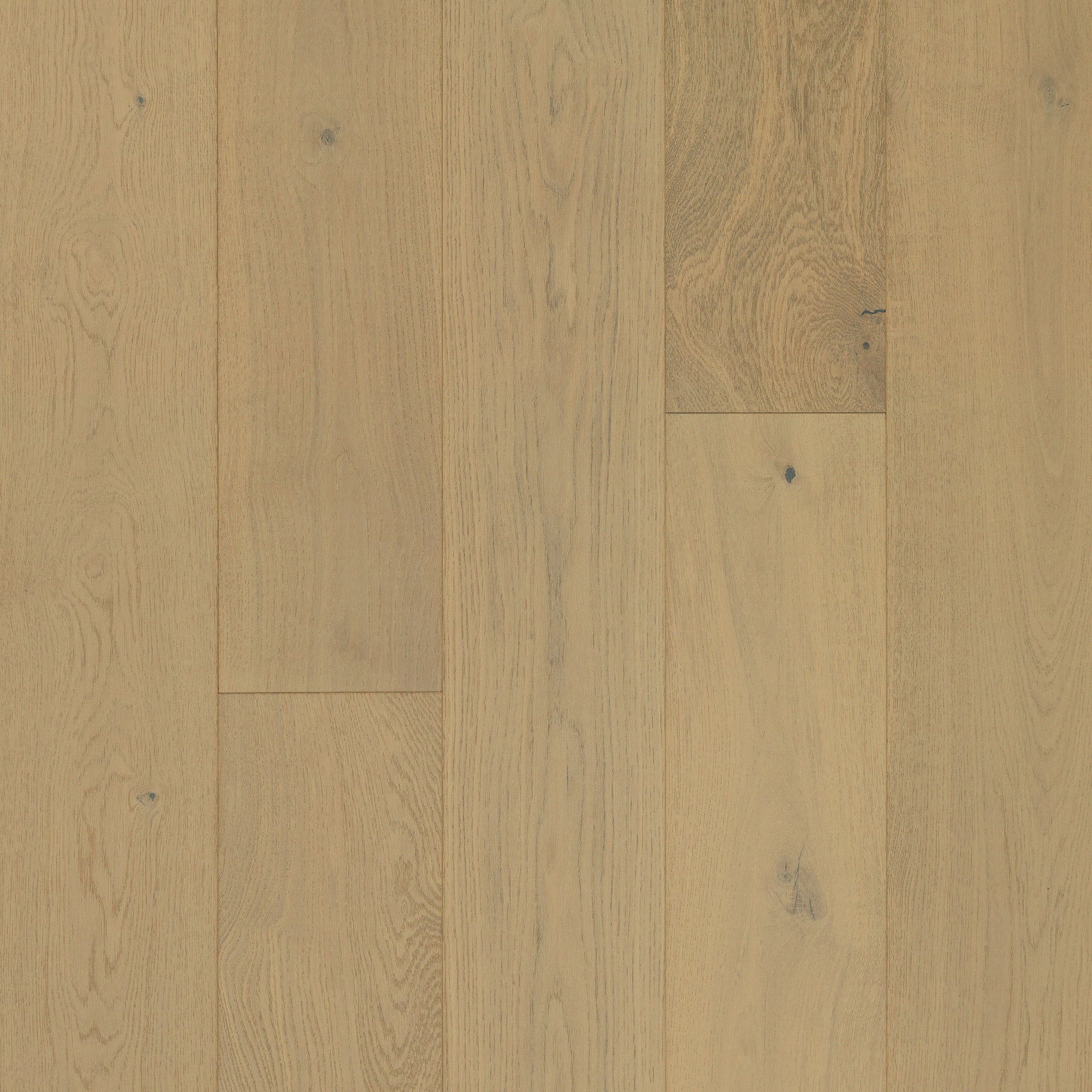 Hardwood Schooner Oak CORAL SHORES