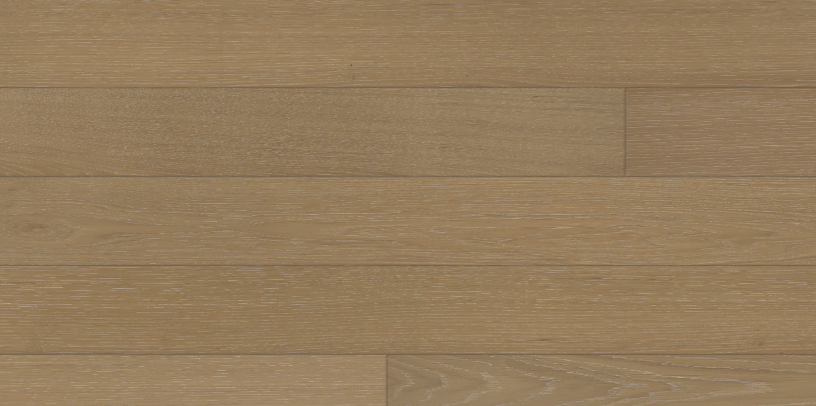 Hardwood Biscayne 9504 Donatello Collection