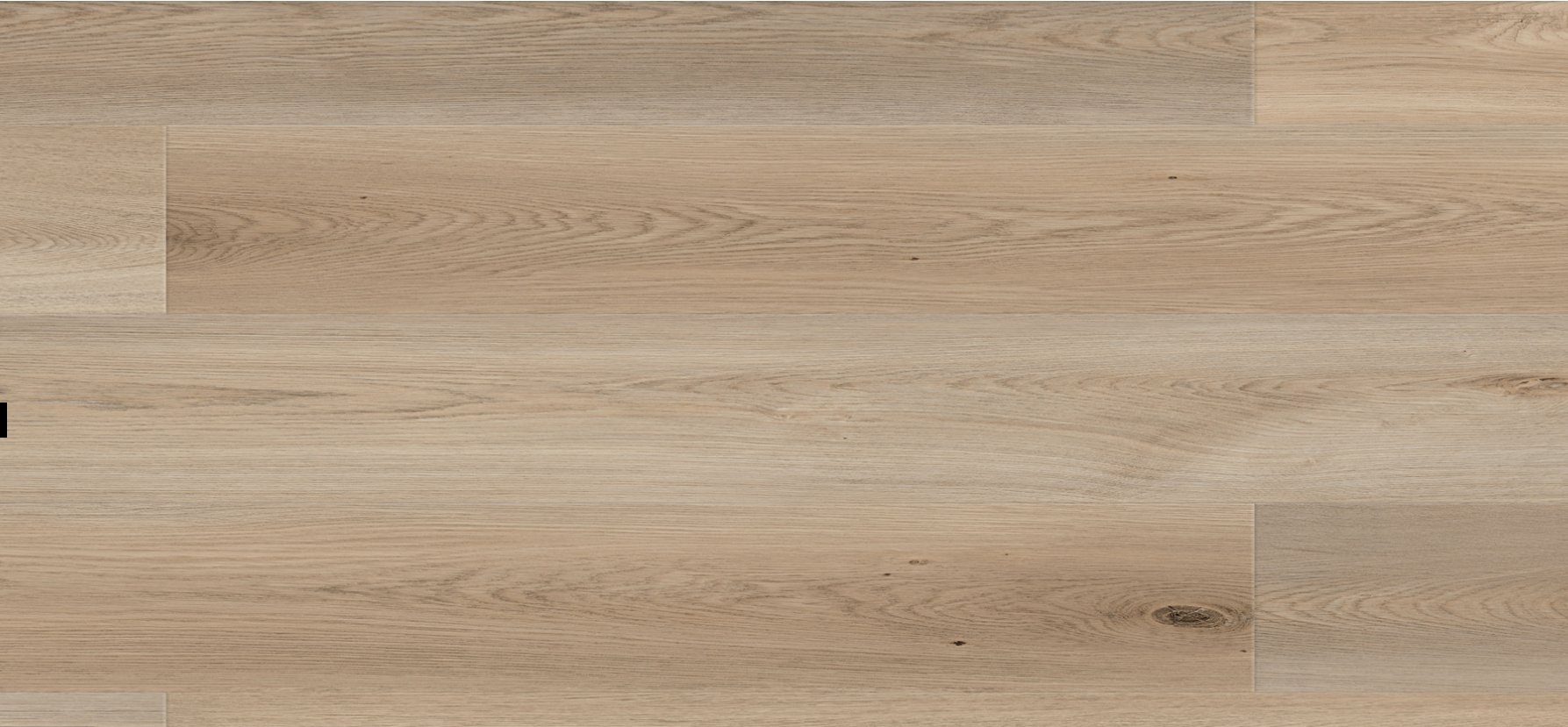 Vinyl Sandwort VA-5502 Titian Collection