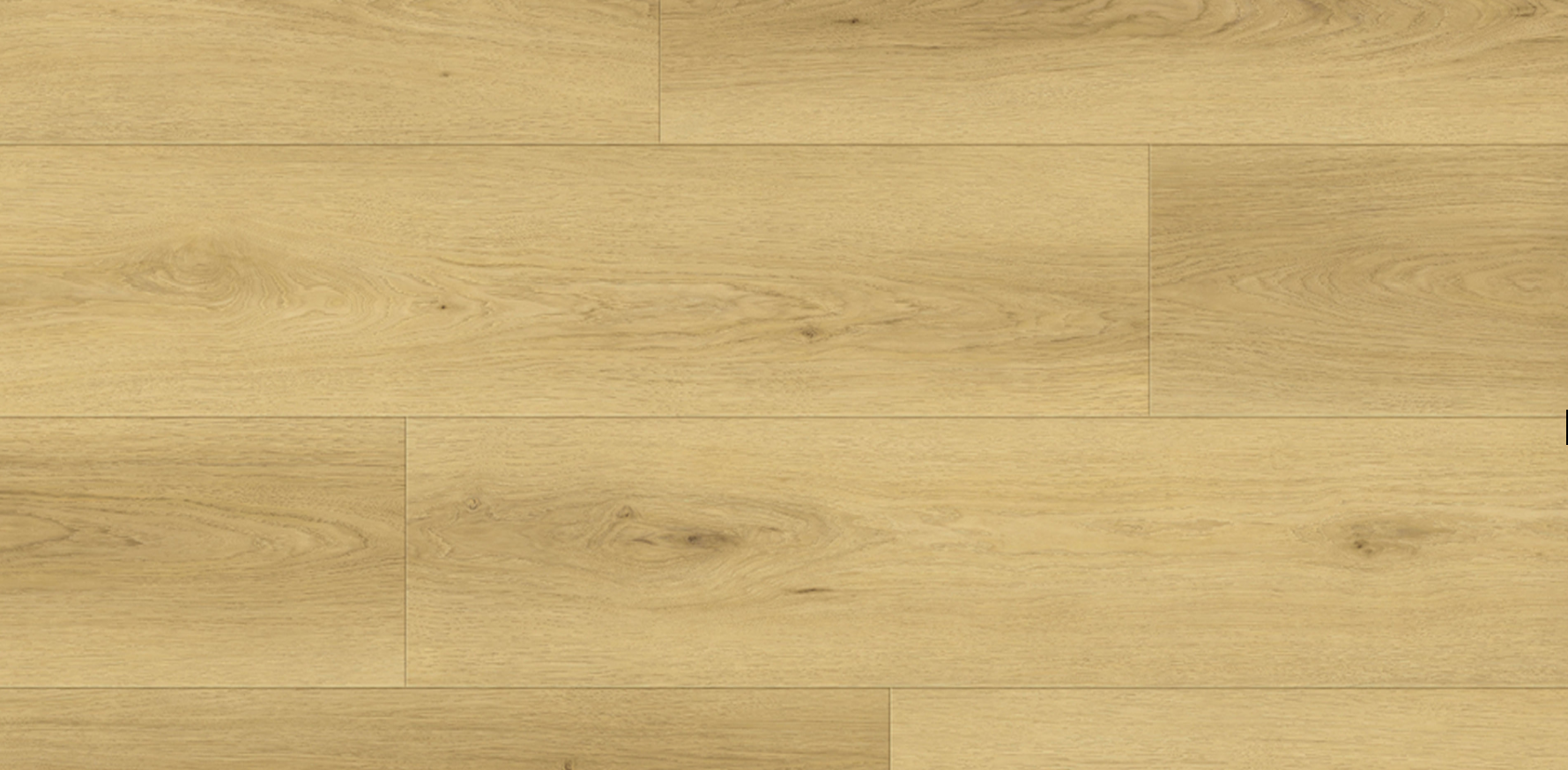 Vinyl Sunbaked VA-6507 Rembrandt Collection