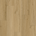 Luxury Vinyl Chicory SF802 Aspire Collection