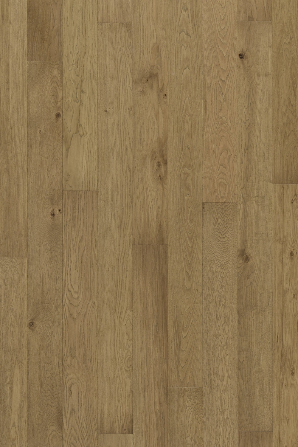 Hardwood SHEFFIELD EKPB64L704W Kingston 7/16" x 6.5"