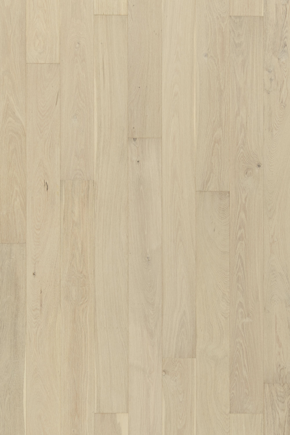 Hardwood SUSSEX EKPB64L701W Kingston 7/16" x 6.5"