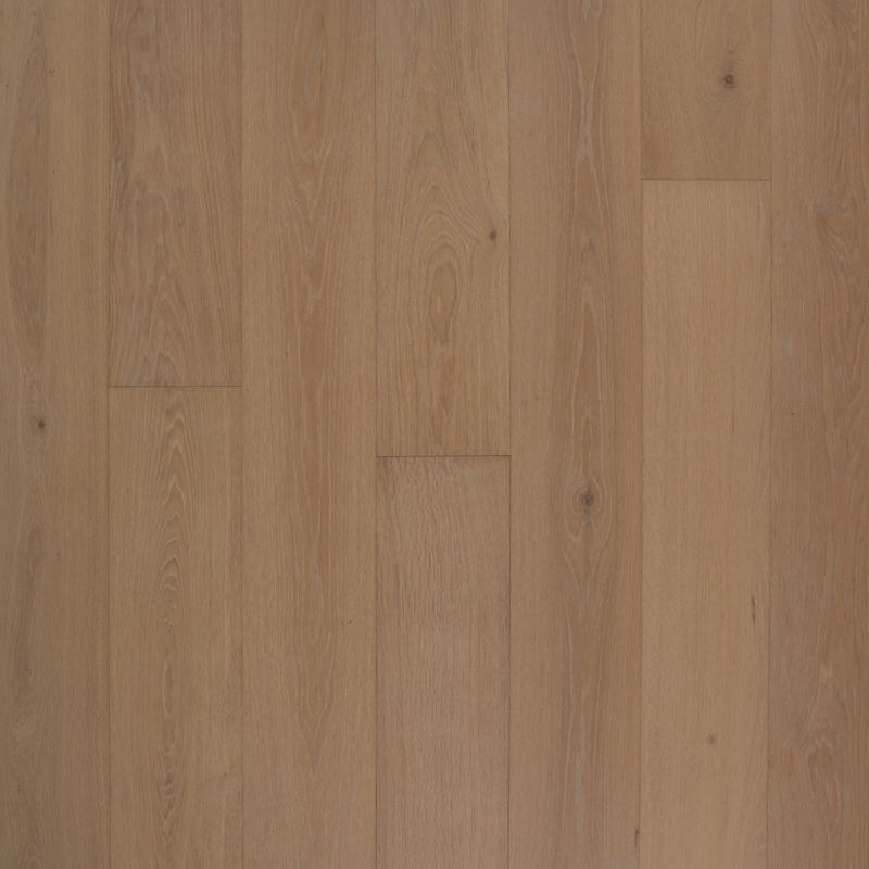 The French Connection - Casse-Cou by Green World Industries