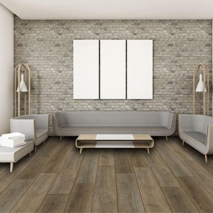 BILL PERRY Timeless Premium 6 Series