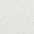 Vinyl Homogeneous Sheet Uncommon Gray 1HG2M013 Mixed and Variegated