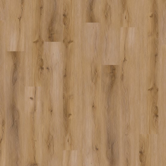 Stanton Natural Honey YUKON Collection