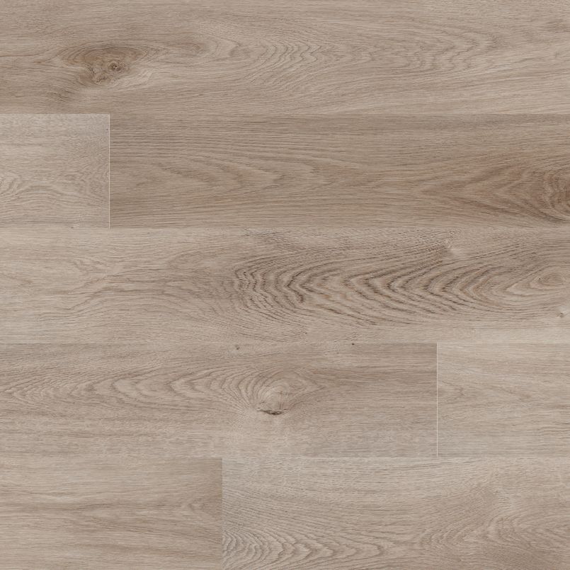 Acclima - Whitfield Gray by MSI