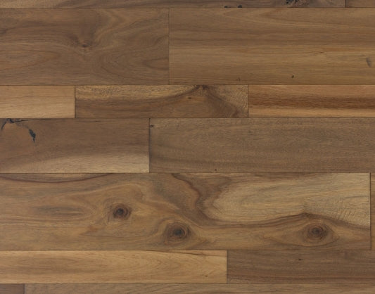 SLCC Acacia AMARILLO WESTWIND COLLECTION