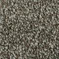 Polyester Carpet AMERICANA 28356/858 Distinct Beauty 2W53
