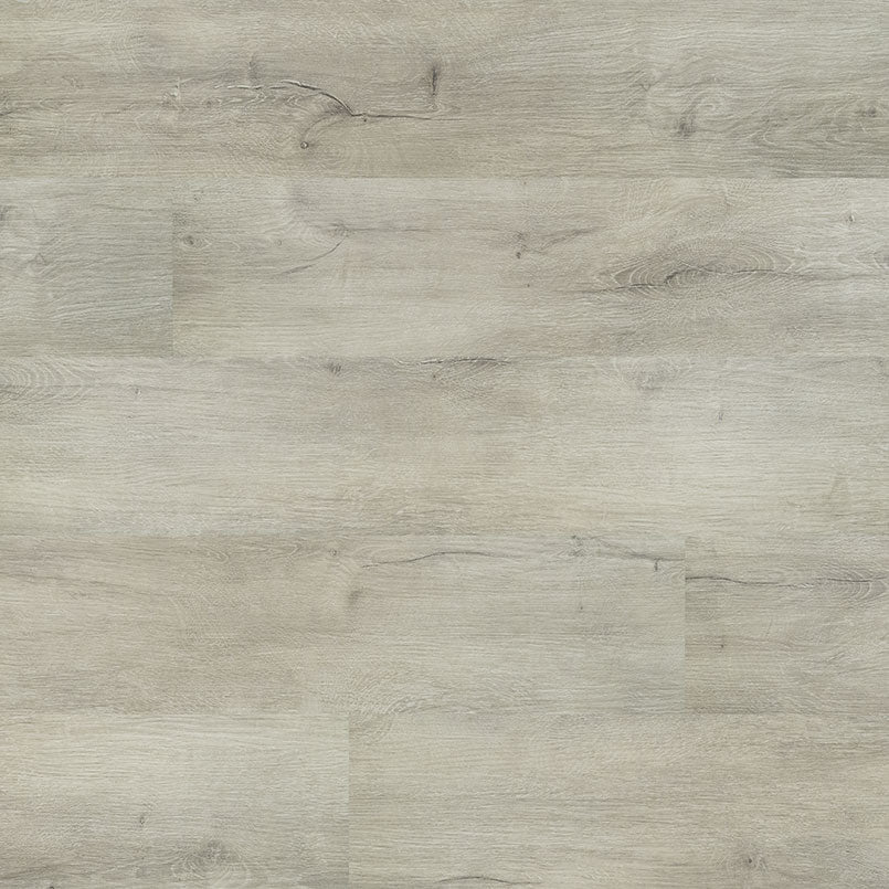 Kallum - York Gray by MSI