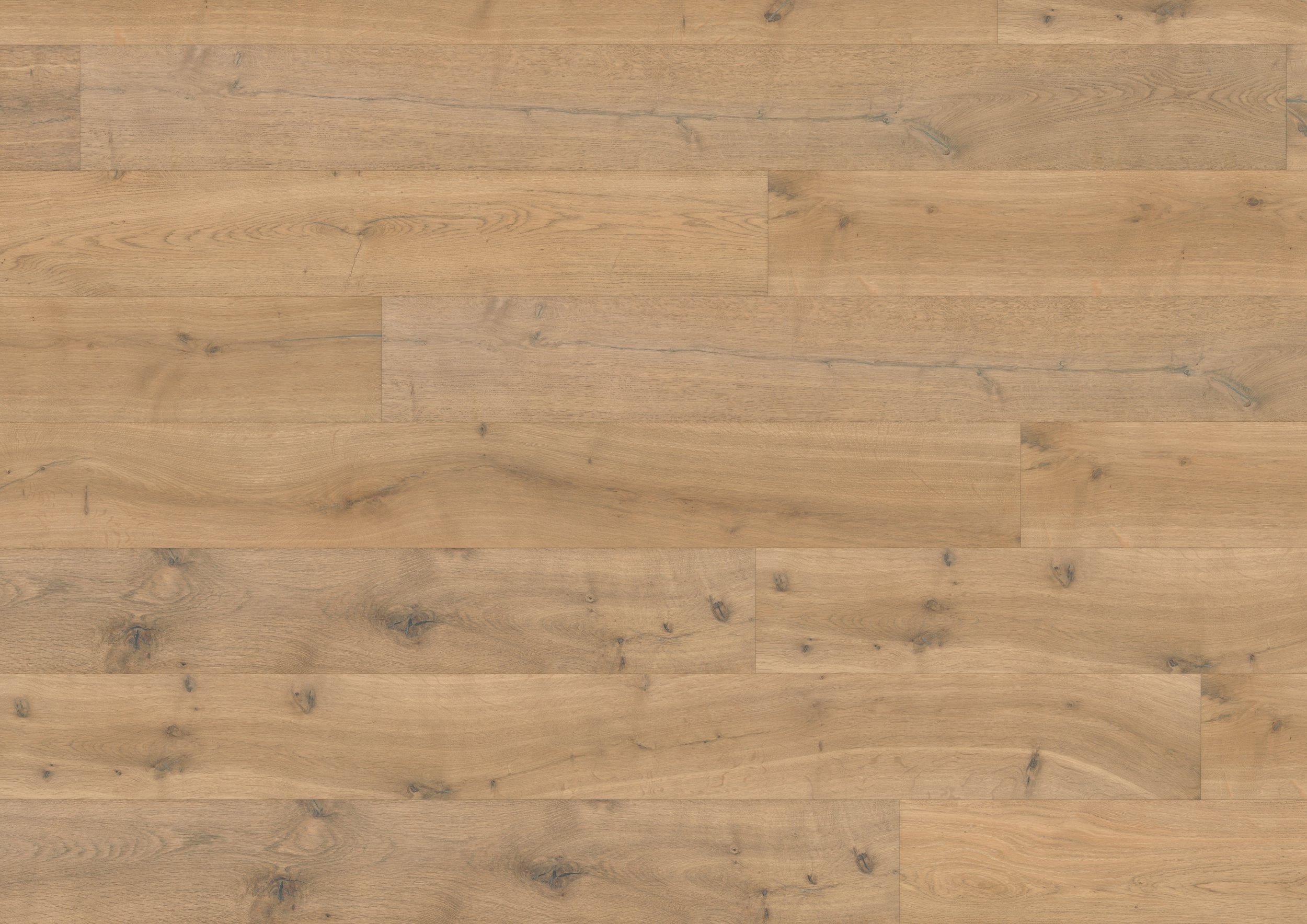 Hardwood Ballenas VALFTR124 	European Oak (Heartwood)