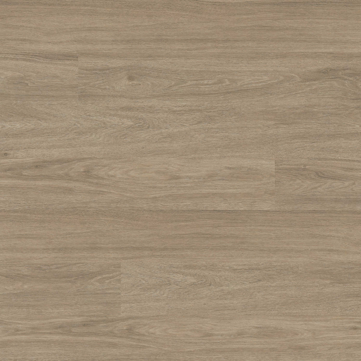 Wilmont - Bleached Elm by MSI