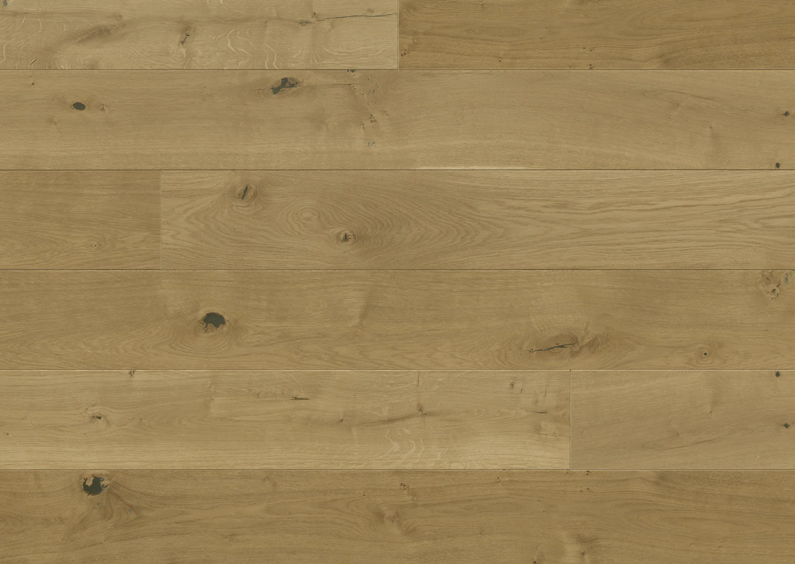 MONARCH PLANK CAMPO Verano