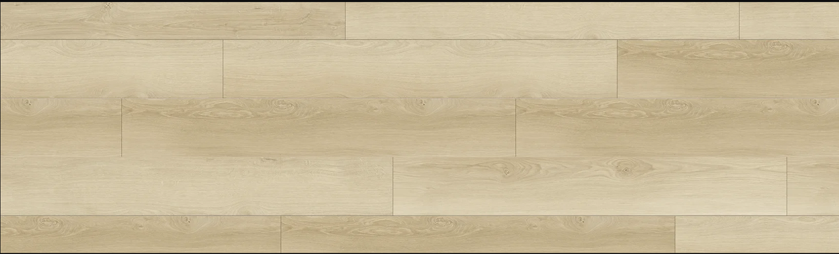 Republic Canadian Sage REAW8403 Angel Woods