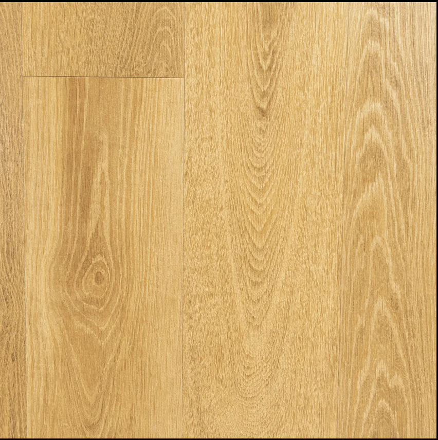 Abingdon (Solid) Authentic - Caramel by Horizon Forest