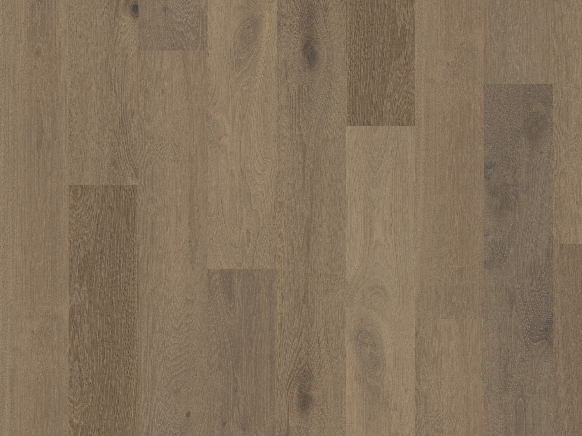 Hardwood CHAPARRAL TERRA COLLECTION