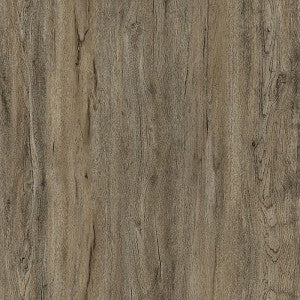 Laurel - Violet by Horizon Forest