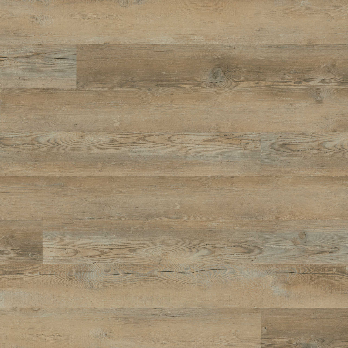 Katavia - Lime Washed Oak by MSI