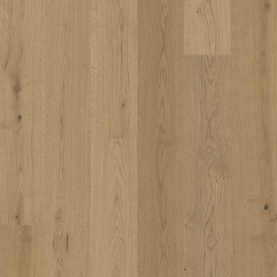 McCarran - Adriel Oak by MSI