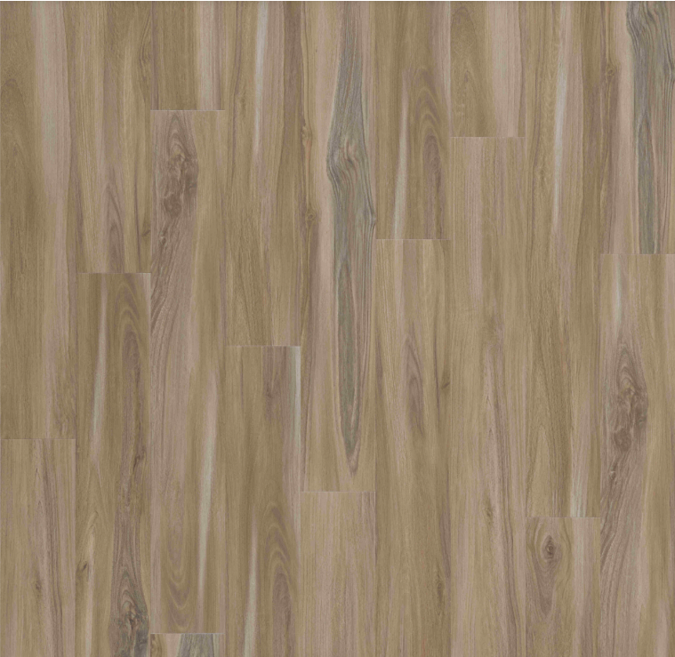 Vinyl Sandy Valley  EXPLORER S COVE