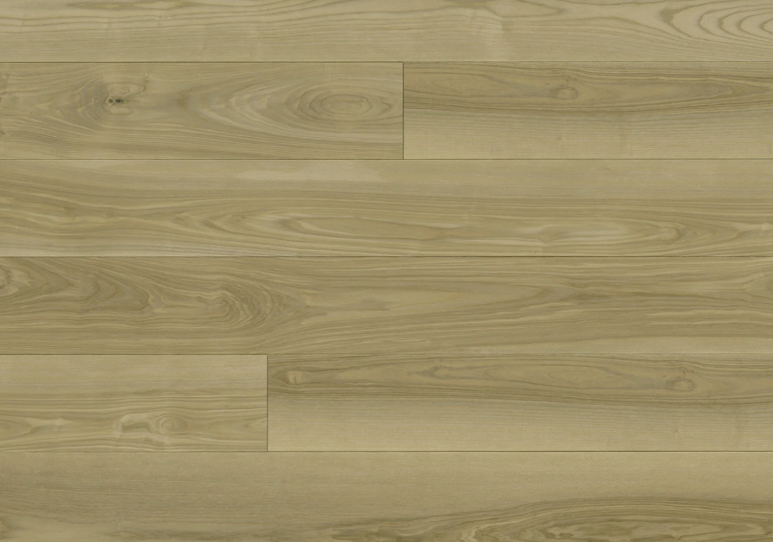 MONARCH PLANK SCORZA Verano