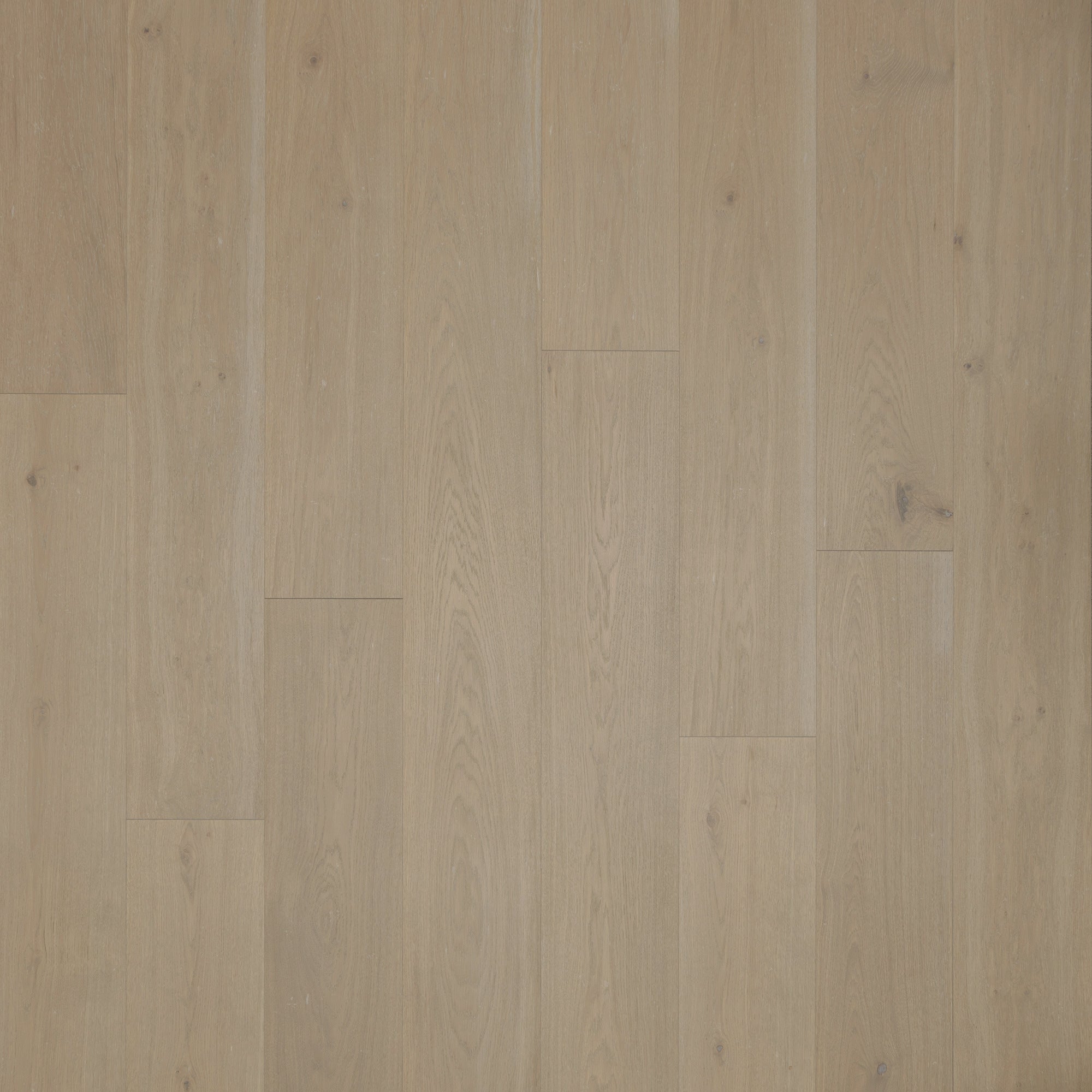 Hardwood Sea Fog Oak WESTSIDE GROVE