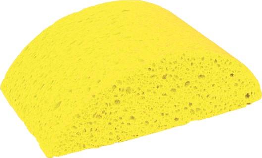 Turtle Back Sponge 16587