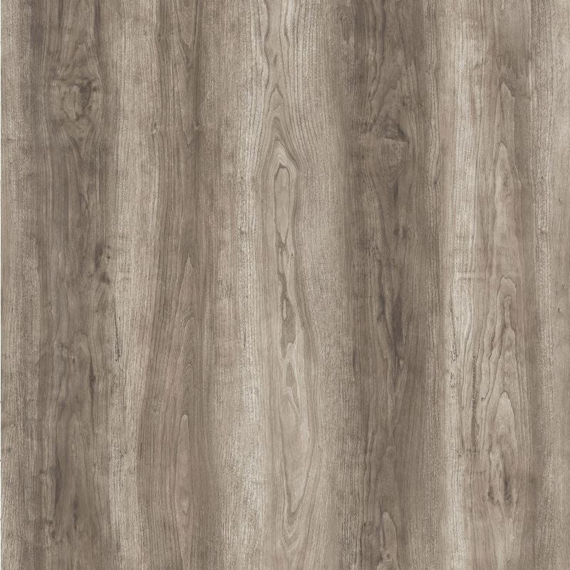Vinyl ARES R-803 ROMAN Collection