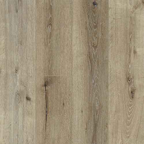 Vinyl Accolade Aspire  Collection