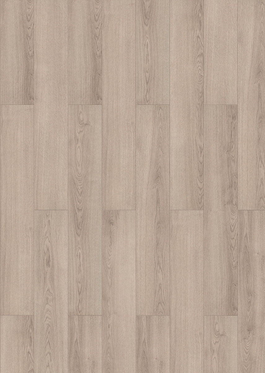 Laminate ADELAIDE INH56347 Visions 8 MM