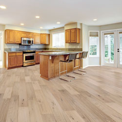 Horizon Forest Ambient Portsmouth 7-1/2″